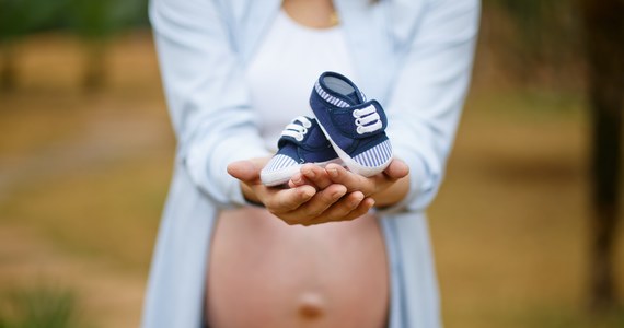Niepokojące doniesienia dla kobiet w ciąży i prowadzących ich lekarzy. Zakażenie koronawirusem może uszkadzać łożysko, upośledzać przepływ krwi matki i dziecka, utrudniać wymianę tlenową - informują na łamach czasopisma "American Journal of Clinical Pathology" naukowcy z Northwestern University. Na szczęście wydaje się, że te uszkodzenia nie wpływają bezpośrednio na stan dziecka po urodzeniu, może się jednak okazać, że ciąże u kobiet zakażonych koronawirusem trzeba w szczególny sposób monitorować.