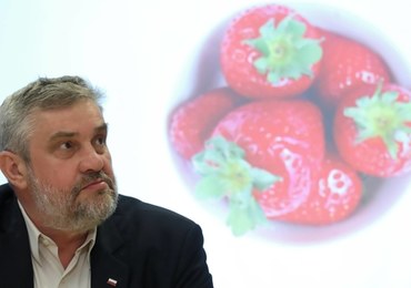 Nauczyciele mają zbierać truskawki? Po wywiadzie w RMF FM Ardanowski pisze list do ZNP