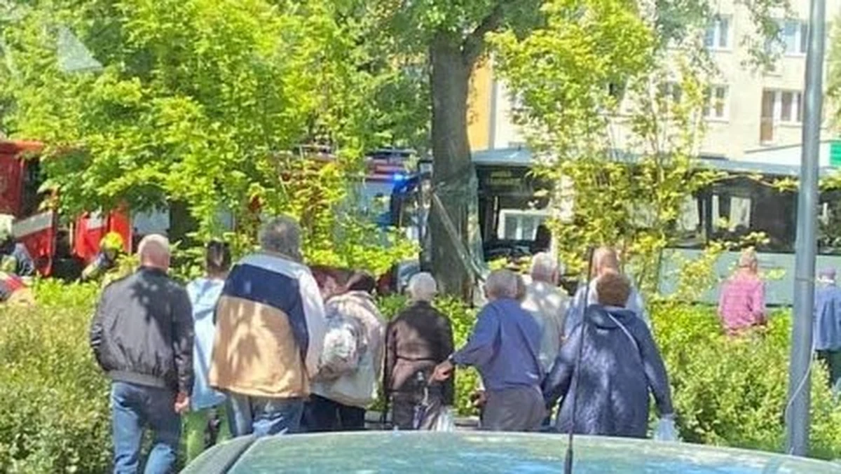 W piątek w Górze Kalwarii (woj. mazowieckie) na dk 79 bus uderzył w drzewo. W wypadku rannych zostało 10 osób, a kierowca pojazdu był reanimowany. "Niestety 55-latek zmarł w szpitalu" - poinformował w piątek wieczorem oficer prasowy piaseczyńskiego Komendanta Powiatowego Policji nadkom. Jarosław Sawicki.