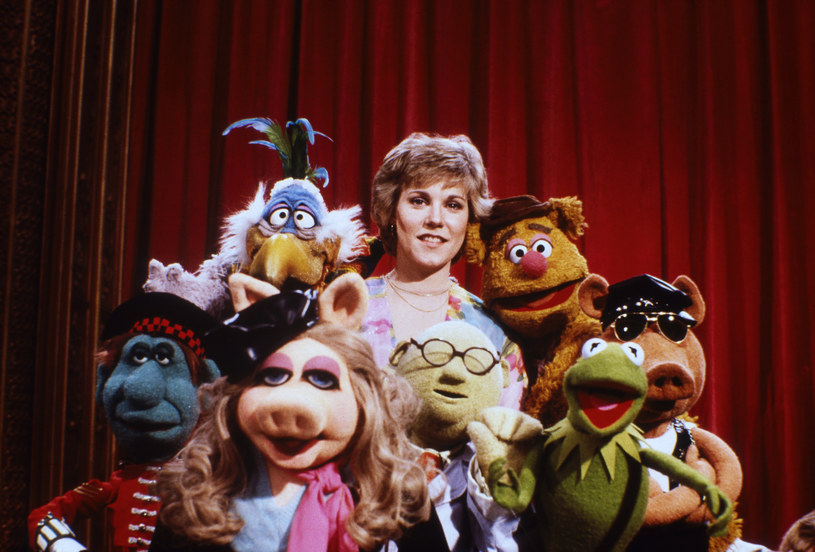 Żaba Kermit, Miss Piggy, Miś Fozzie, Scooter, Zwierzak i cała reszta słynnych muppetów wracają na scenę. Już w lipcu stacja Disney+ wyemituje program "Muppets Now", czyli kontynuację stworzonego przez Jima Hensona "Muppet Show".