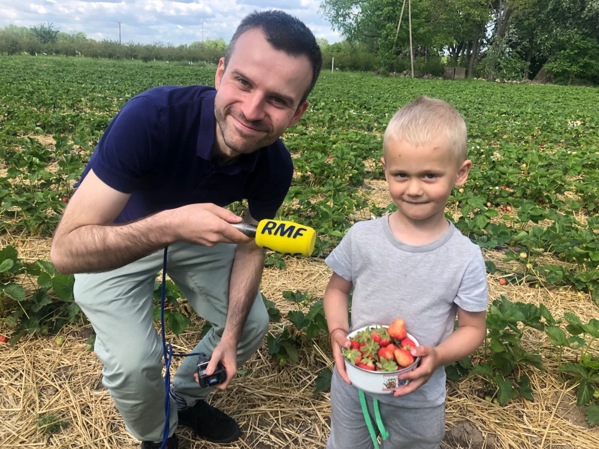 Pięć złotych za kilogram truskawek. Taką cenę - nawet cztery razy mniejszą niż ta, którą znajdziemy na targowiskach - proponuje wielu sadowników z okolic Warki w powiecie grójeckim na Mazowszu. Warunek jest jeden: trzeba przyjechać i samemu zebrać owoce. 