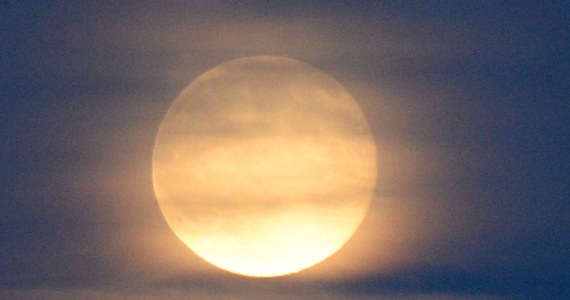 Już dziś na niebie będzie można zobaczyć "truskawkowy Księżyc". Pełnia nastąpi o godzinie 21:12. 