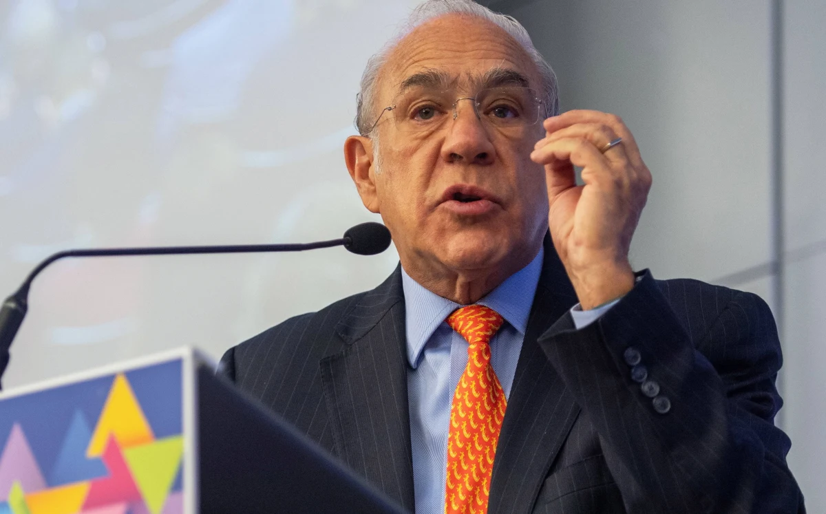 Polska odnotowała niewielki spadek PKB w porównaniu z innymi krajami OECD - mówi dla PAP sekretarz generalny Organizacji Współpracy Gospodarczej i Rozwoju (OECD), Jose Angel Gurría. Dodaje, że liczy na wsparcie Polski dla podatku cyfrowego i zwraca uwagę na konieczność walki z tzw. "rajami podatkowymi".