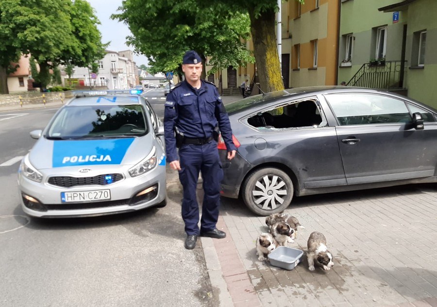 /policja.pl /