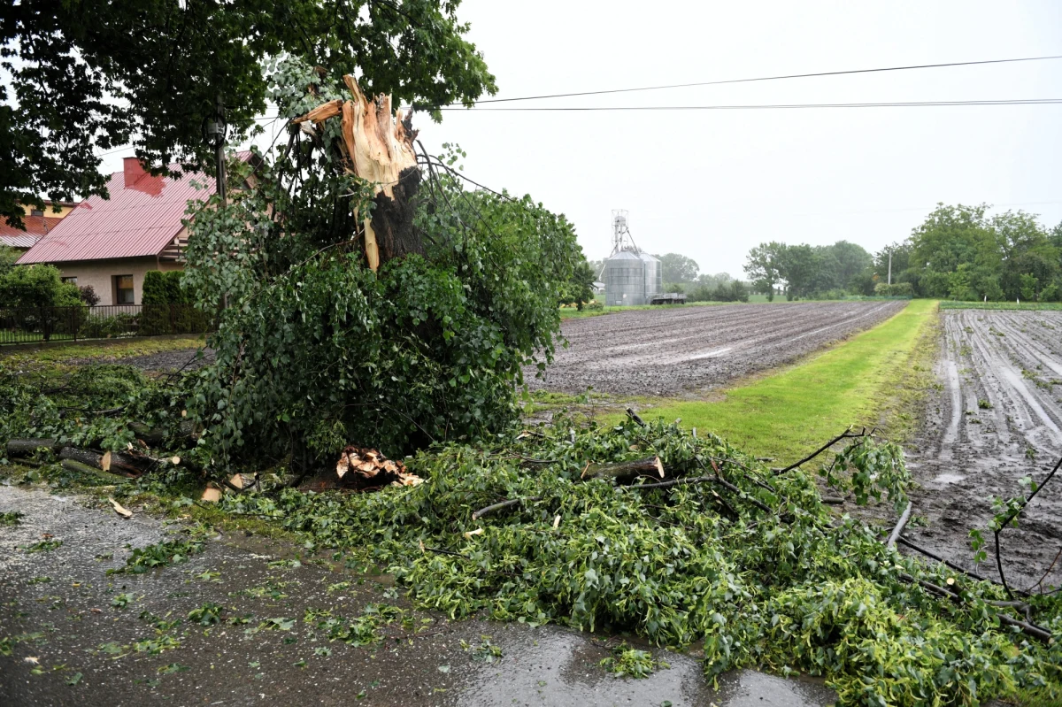 Przed burzami z gradem w siedmiu województwach ostrzega Instytut Meteorologii i Gospodarki Wodnej. Zagrzmi w województwie śląskim, małopolskim, świętokrzyskim, podkarpackim, dolnośląskim, pomorskim i zachodniopomorskim. Wczoraj w związku z burzami strażacy interweniowali ponad 1000 razy.