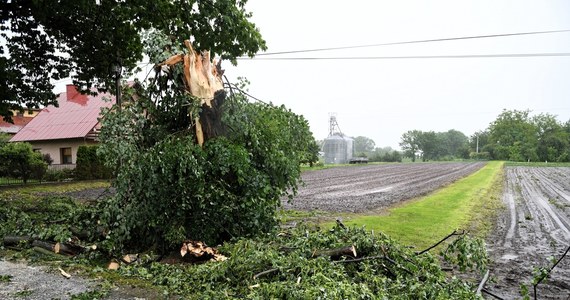 Przed burzami z gradem w siedmiu województwach ostrzega Instytut Meteorologii i Gospodarki Wodnej. Zagrzmi w województwie śląskim, małopolskim, świętokrzyskim, podkarpackim, dolnośląskim, pomorskim i zachodniopomorskim. Wczoraj w związku z burzami strażacy interweniowali ponad 1000 razy.