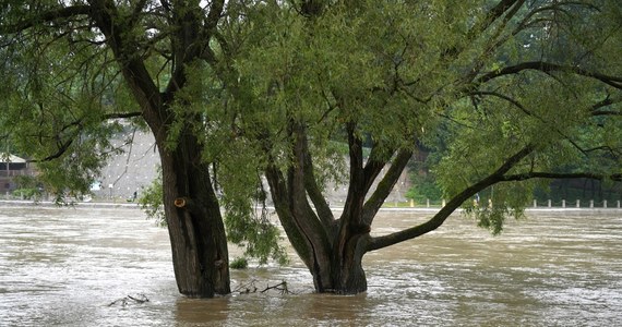 IMGW wydał rano ostrzeżenia drugiego stopnia przed silnym deszczem z burzami dla woj. podkarpackiego i podlaskiego oraz dla wschodnich powiatów woj. małopolskiego, świętokrzyskiego i warmińsko-mazurskiego. 