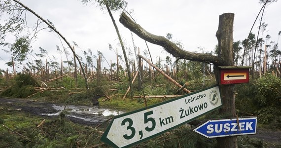 Komendant obozu harcerskiego i jego zastępca nie przyznają się do winy w sprawie tragedii w Suszku. Przypomnijmy, że tam w czasie nawałnicy z 11 na 12 sierpnia 2017 roku podczas obozu zginęły 2 młode harcerki.  