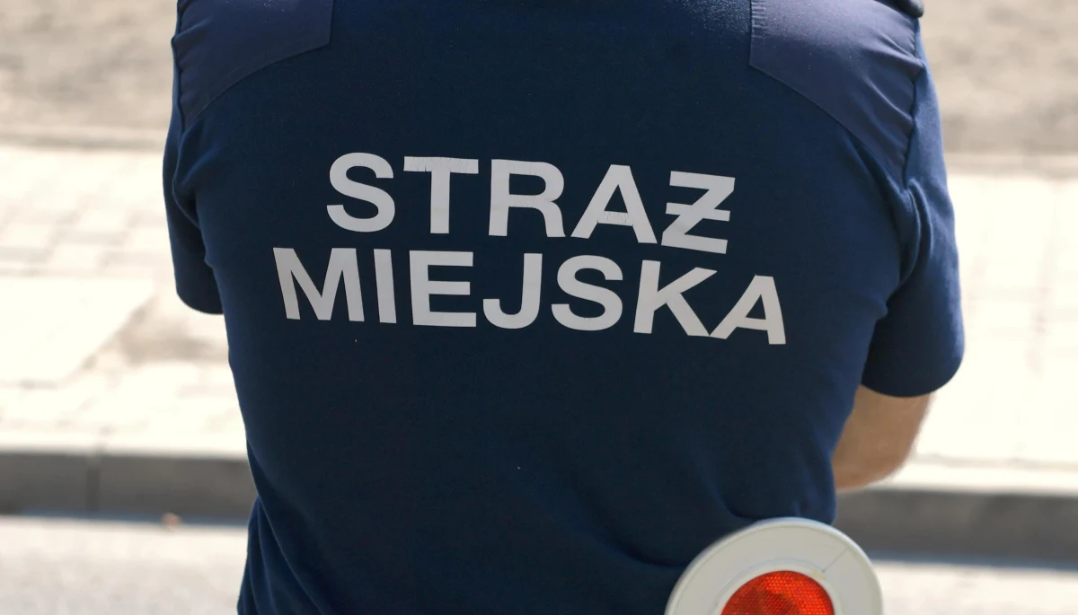 Policja zatrzymała w Wałbrzychu dwóch strażników miejskich. Nieumundurowani strażnicy zrywali plakaty i banery Andrzeja Dudy - poinformował na Twitterze wiceszef MSWiA Maciej Wąsik. Dodał, że "w ich nieoznakowanym pojeździe znaleziono ok. 30 zerwanych banerów".