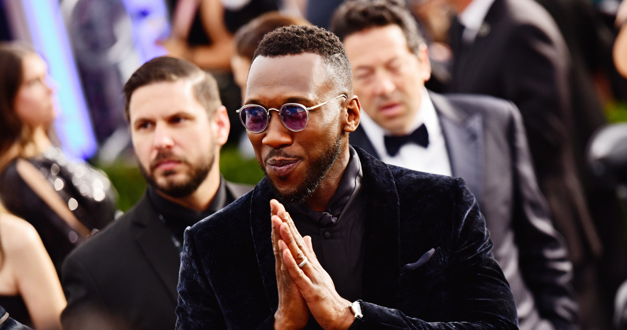 Nagrodzony Oscarami za role w filmach "Moonlight" i "Green Book" Mahershala Ali wystąpi w sześcioodcinkowym serialu "Unruly" przygotowywanym przez stację HBO. Zagra w nim legendę boksu Jacka Johnsona.