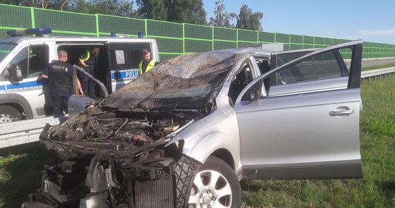 50-letni kierowca zginął w wypadku na autostradzie A1 w Łodzi. Policja szuka dwóch osób. Jechały one audi, które uderzyło w hondę 50-latka. Do wypadku doszło między węzłami Łódź Górna i Łódź Wschód.