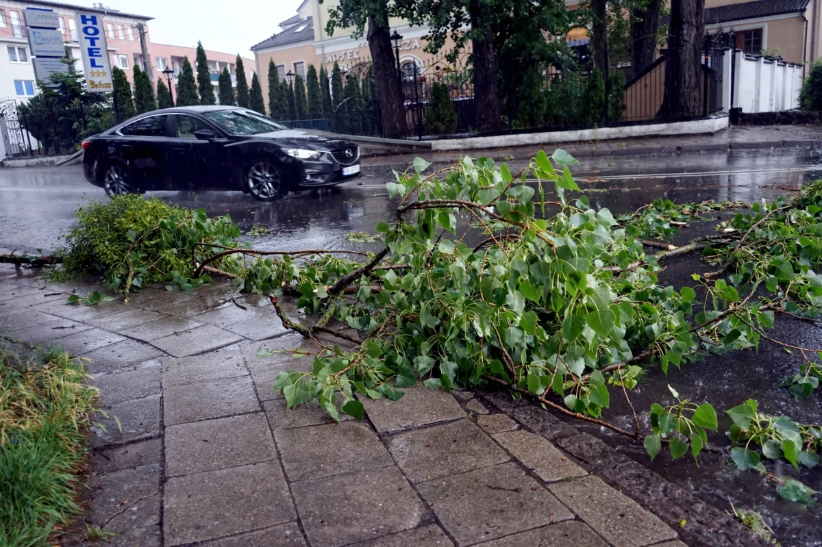 Prawie tysiąc razy interweniowali w czwartek do wieczora strażacy w całej Polsce po intensywnych opadach deszczu i burzach, które przechodziły nad centralną i południową Polską. Najczęściej wyjeżdżali na Mazowszu i w Śląskiem. Nawałnice wyrządziły także szkody w Małopolsce, w okolicach Wadowic.