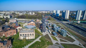 Katowice posadzą ponad 300 nowych drzew