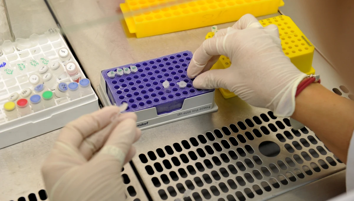 Od początku roku do końca czerwca zanotowano w Polsce 24 przypadki odry, w ubiegłym roku w tym samym czasie było ich 1435 - takie dane przynosi najnowsze zestawienie Narodowego Instytutu Zdrowia Publicznego - Państwowego Zakładu Higieny.