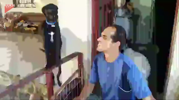 Pies Cassiano wdał się w bójkę z innymi psami z okolicy. Właściciel go skarcił. Co zrobił pies? Nie uwierzycie.
