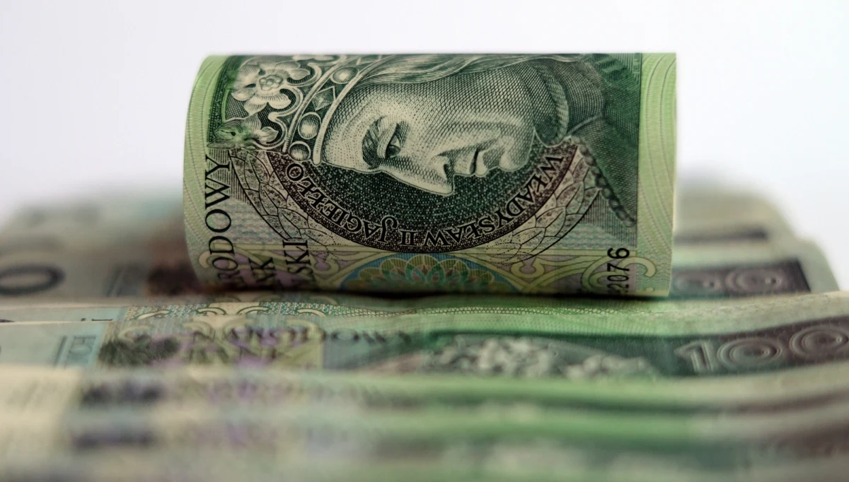 W 2018 roku korporacje międzynarodowe wytransferowały z Polski 17 mld zł, co przełożyło się na około 3 mld zł ubytku w dochodach z CIT - wskazał Polski Instytut Ekonomiczny w raporcie "Luka CIT w Polsce w latach 2014-2018". Problemem jest istnienie wewnątrzunijnych rajów podatkowych - oceniono. 