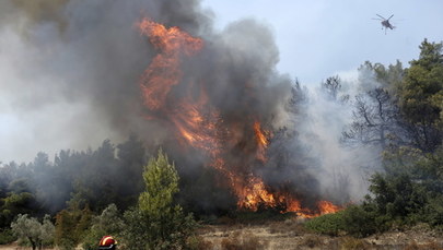 Kilkaset dzieci ewakuowano z okolic Koryntu. W Grecji pożary lasów 