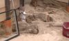 Szczątki 4 tys. osób, monety, biżuteria. Odkrycie poznańskich archeologów