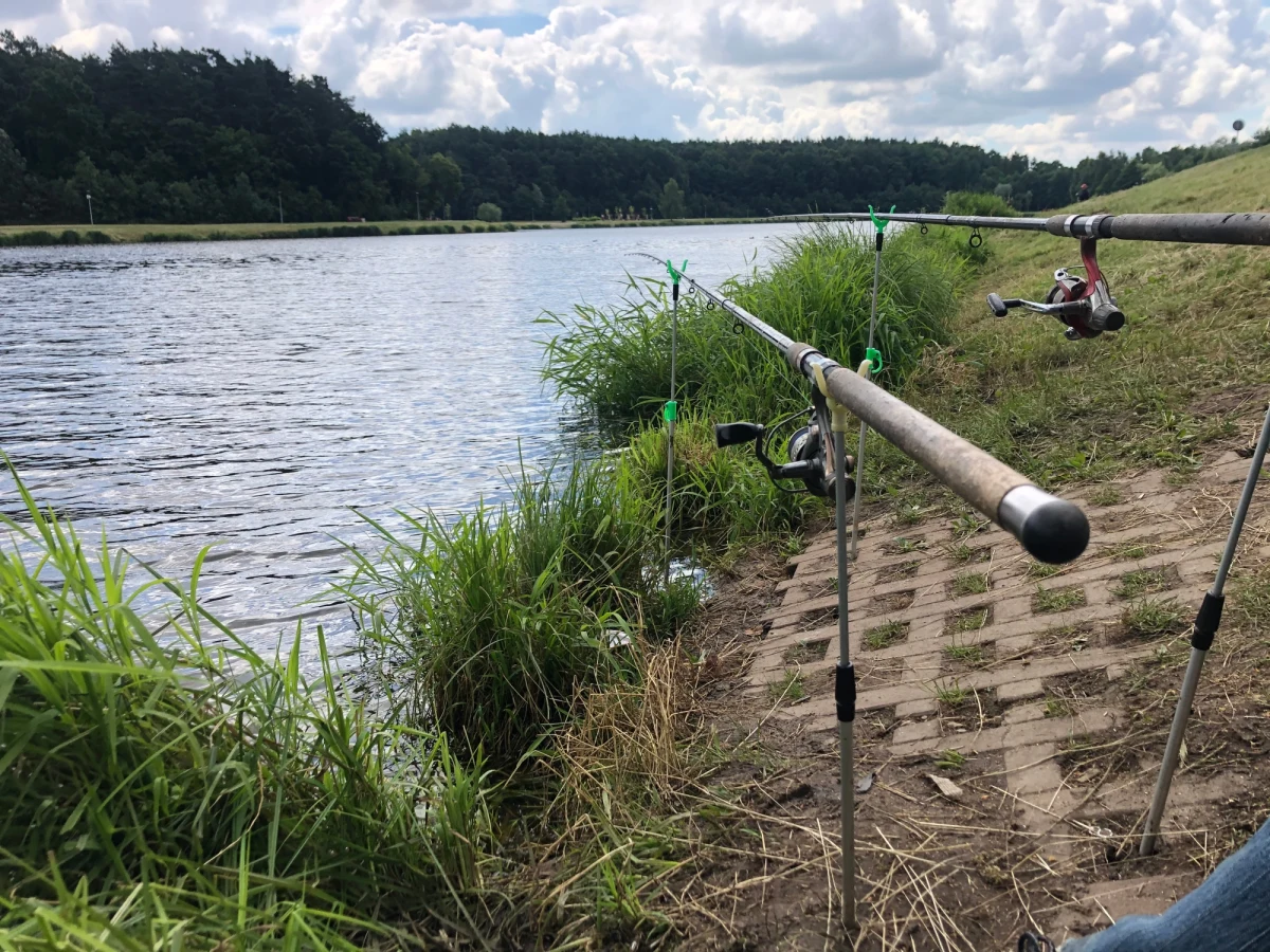 Po tygodniach intensywnej kampanii, wreszcie możemy odpocząć od wyborczych spotów i zregenerować siły, na przykład na świeżym powietrzu. Jak zapewniają wędkarze, niewiele aktywności potrafi tak wyciszyć, jak wpatrywanie się w taflę wody. Zapytaliśmy, czy wędkowanie to dobry pomysł na oderwanie się od polityki.

