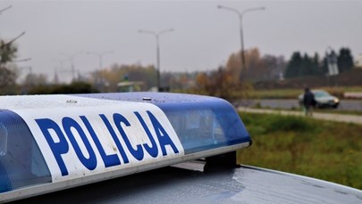 Lublin: Policja szuka 17-latki i niemowlęcia