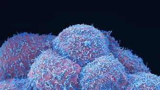 ​Naukowcy znaleźli związek pomiędzy HPV i rakiem prostaty