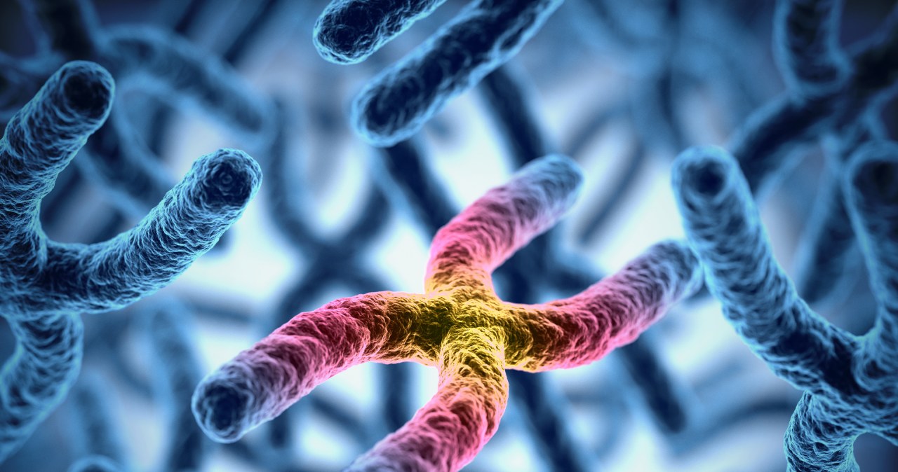Naukowcy odkryli narzędzie, które bez śladu zmienia DNA. Świat w szoku