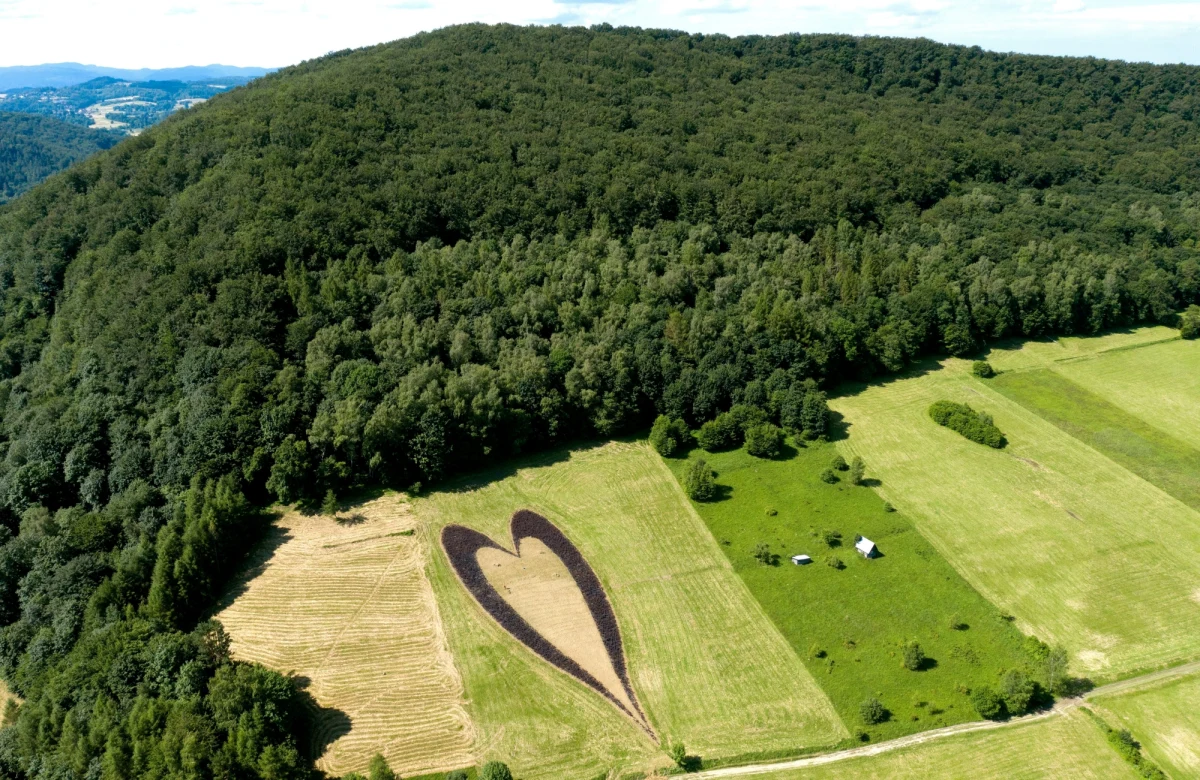 Turyści odwiedzający miejscowość Solina z pewnością rozpoznają serce z krzewów, które znajduje się nad jeziorem Myczkowskim. Nie wszyscy zdają sobie jednak sprawę, że za powstaniem roślinnego serca kryje się polsko-indyjska historia miłosna.