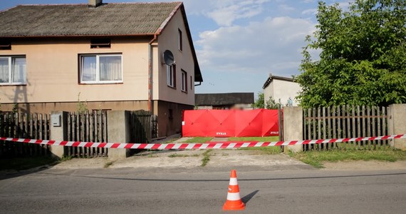 Zarzut zabójstwa 16-letniej dziewczyny usłyszał zatrzymany wczoraj przez policję 22-latek z powiatu łowickiego w Łódzkiem. Mężczyzna odmówił składania wyjaśnień.
