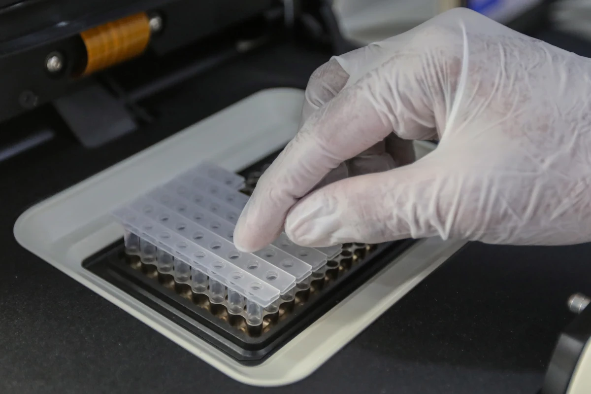 Bardzo pozytywny rezultat badań nad nową terapią w leczeniu koronawirusa. Donoszą o tym brytyjskie media. Testy przeprowadzono w Southampton na południu Anglii. Według wstępnych wyników, środek o nazwie interferon beta zmniejsza ryzyko komplikacji po przyjęciu do szpitala nawet o 79 procent.  