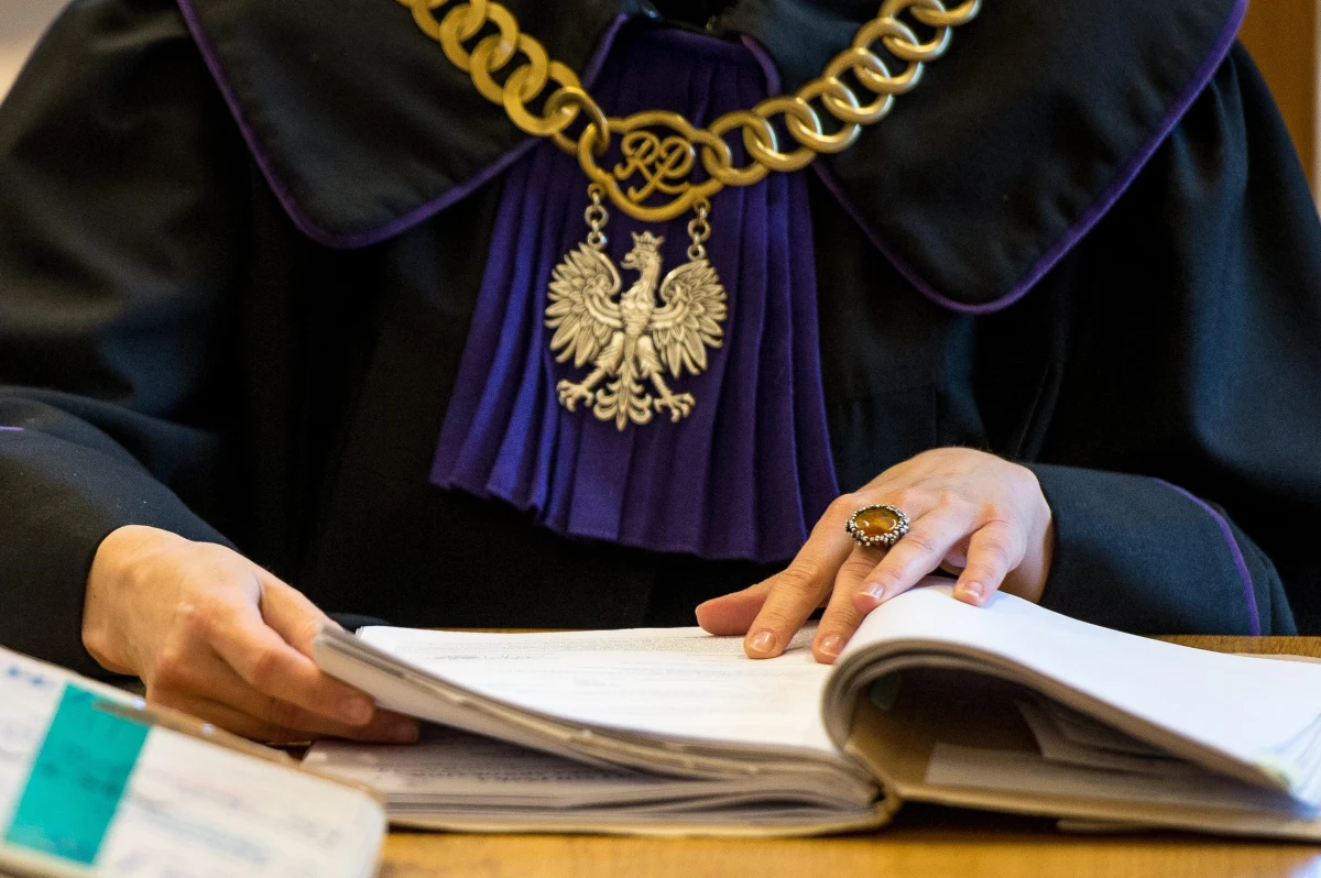 Postępowania dyscyplinarne przeciwko 14 sędziom wszczął zastępca rzecznika dyscypliny sędziowskiej Przemysław Radzik. Jak podał, sędziowie "zataili" swoje członkostwo w Forum Współpracy Sędziów, co - według rzecznika - stanowi m.in. "oczywistą i rażącą obrazę przepisów prawa". Forum jest - jak samo informuje na swoich stronach - "niesformalizowaną platformą współpracy" sędziów i "głosem środowiska". Jednym z jego celów jest monitorowanie zagrożeń dla niezawisłości sędziów i niezależności sądów.