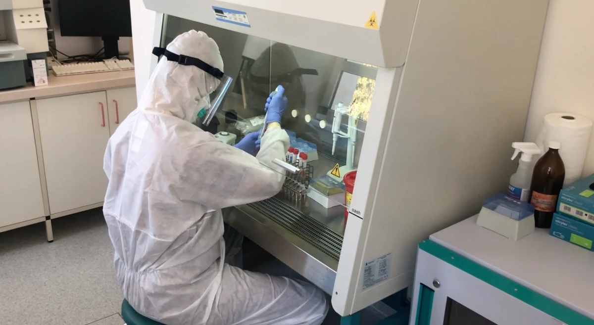 Wrocławska firma SensDX wprowadza na rynek test na COVID-19, który daje wynik badania w sześć minut. Test wykrywa zakażenie koronawirusem również na bardzo wczesnym etapie infekcji, a jego skuteczności jest porównywalna do testów genetycznych RT-PCR.