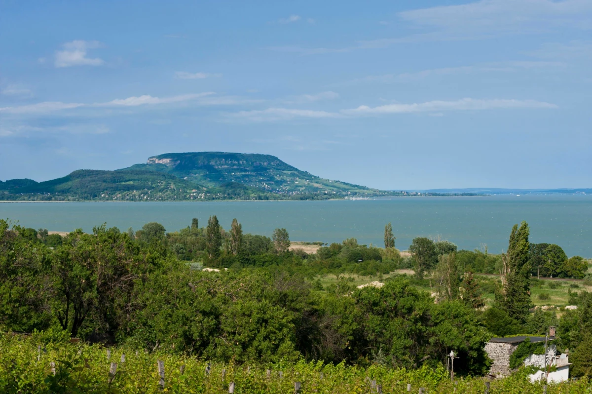Pół miliona osób wybrało się w ciągu ostatniego miesiąca pociągiem nad Balaton – poinformowało kierownictwo węgierskich kolei państwowych MAV w komunikacie.