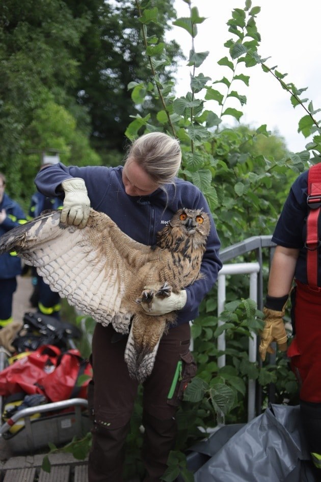 /Foto: Freiwillige Feuerwehr der Stadt Bad Segeberg/Facebook /