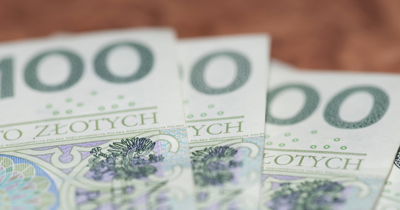 Opłata roczna BDO 2024. Termin na zapłatę 300 zł mija w lutym - Biznes ...