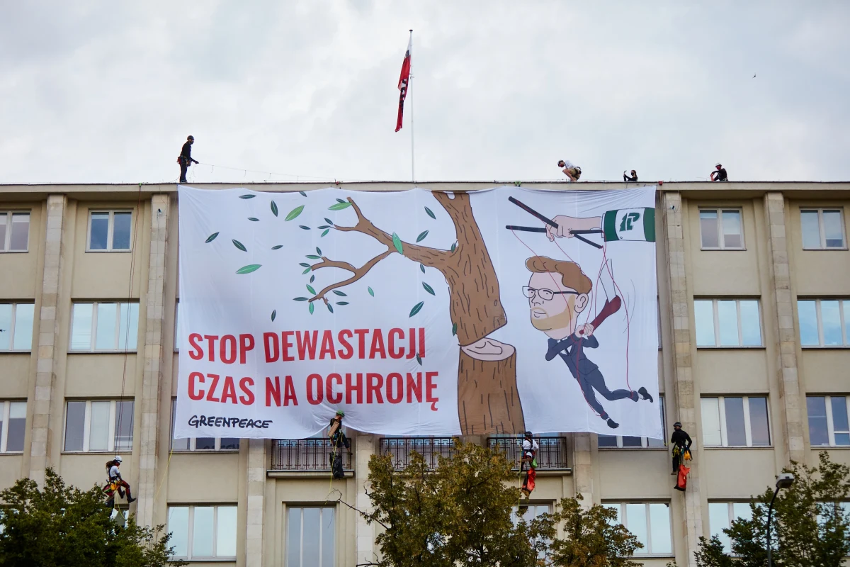 Policja wkroczyła do akcji po tym, jak o poranku kilkanaścioro aktywistów Greenpeace wspięło się na dach gmachu Ministerstwa Środowiska i rozwiesiło olbrzymi banner z napisem: "Stop dewastacji! Czas na ochronę" i z podobizną ministra środowiska Michała Wosia wycinającego drzewo. Ekolodzy apelują o objęcie wszystkich starych polskich lasów odpowiednią ochroną i krytykują ministra Wosia za to, że - jak czytamy w ich oficjalnym stanowisku - "nie zajmuje się ochroną przyrody, tylko realizuje rabunkową politykę szefów koncernu Lasy Państwowe". Przed południem policjanci zatrzymali 15 aktywistów.