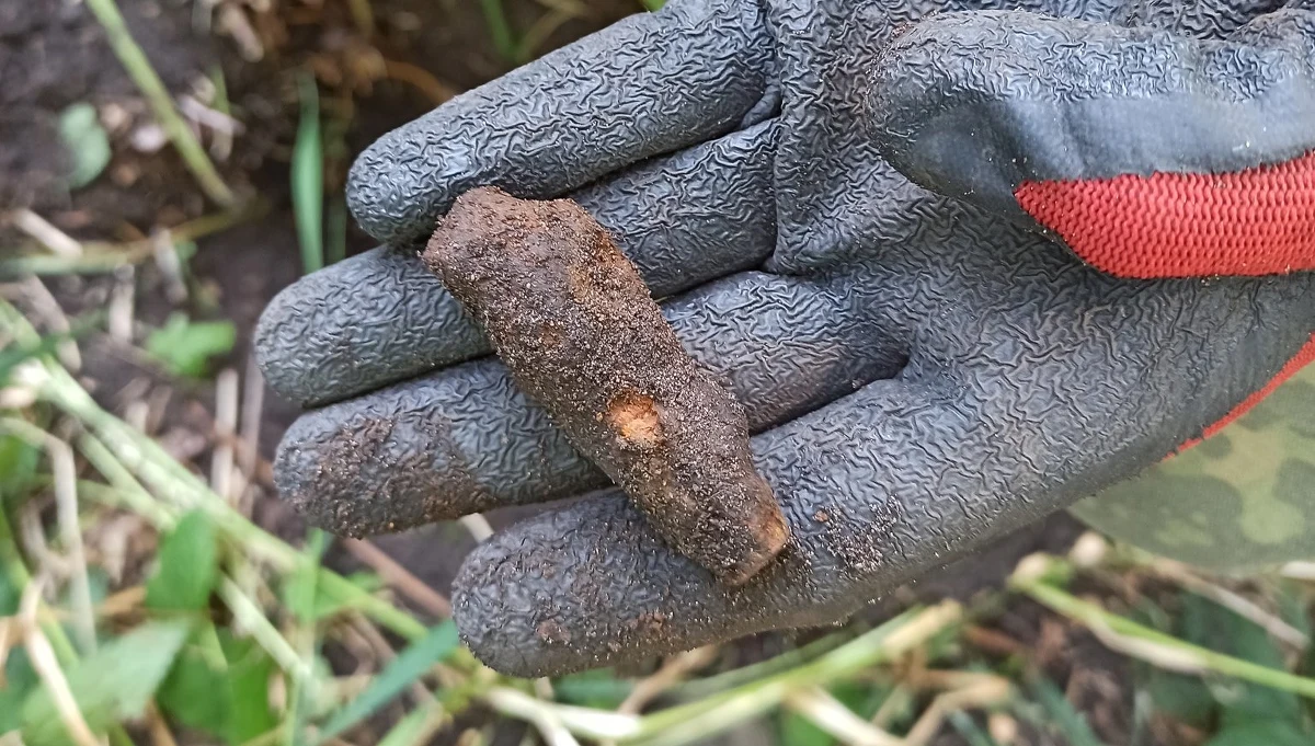 ​W poniedziałek w tzw. Dolinie Śmierci w Chojnicach rozpoczną się prace archeologiczne, których celem jest odnalezienie miejsc egzekucji lub grobów polskiej ludności pomordowanej przez hitlerowców jesienią 1939 roku i zimą 1945 roku - dowiedział się reporter RMF FM. Miejsce poszukiwań trzeba było zabezpieczyć już po trwających wstępnych, przygotowawczych działaniach archeologów.