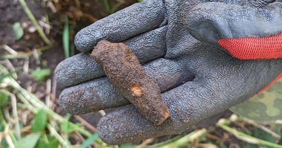 ​W poniedziałek w tzw. Dolinie Śmierci w Chojnicach rozpoczną się prace archeologiczne, których celem jest odnalezienie miejsc egzekucji lub grobów polskiej ludności pomordowanej przez hitlerowców jesienią 1939 roku i zimą 1945 roku - dowiedział się reporter RMF FM. Miejsce poszukiwań trzeba było zabezpieczyć już po trwających wstępnych, przygotowawczych działaniach archeologów.