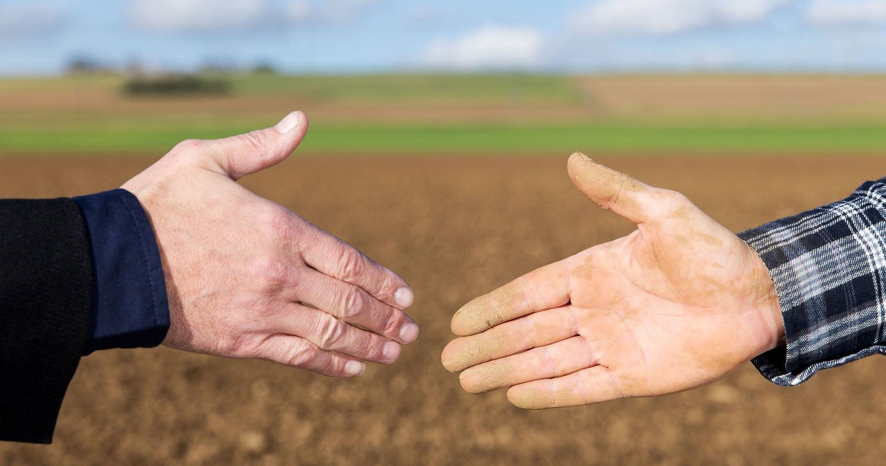 Siła chwytu jest związana z szeregiem chorób. Zrób ten test w domu