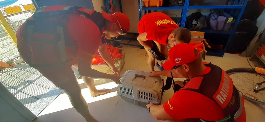 /Źródło: Ośrodek Sportu i Rekreacji Wyspiarz ze Świnoujścia /