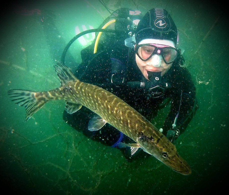 /fot. Krzysztof Trawiński  /