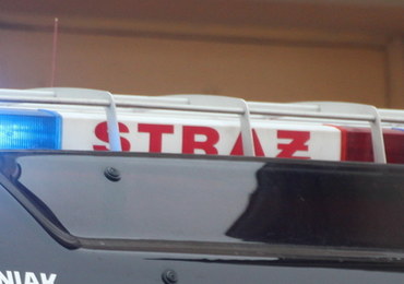Zagrożenie gazowe w Śląskiem. Kilka akcji strażaków w województwie