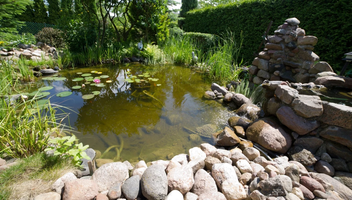 W niedzielę rano w ogrodowym basenie na terenie ogródków działkowych w Łodzi znaleziono zwłoki 36-letniego mężczyzny. Okoliczności tragicznego zdarzenia bada policja. 