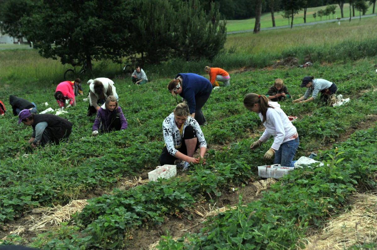 ​Stopa bezrobocia w lipcu 2020 roku wyniosła 6,1 proc. - podał Główny Urząd Statystyczny. Taki sam wskaźnik zanotowano w czerwcu. Ekonomiści przestrzegają jednak, że w kolejnych miesiącach może być gorzej.