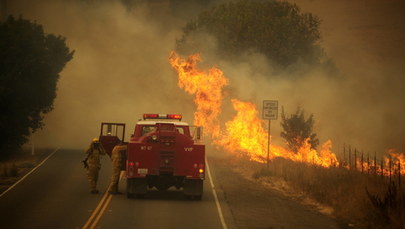 Trwa walka z pożarami w Kalifornii. Strażaków wspierają więźniowie