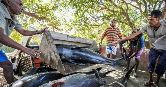 Tysiące mieszkańców stolicy Mauritiusu demonstrowały w Port Luis żądając śledztwa w sprawie osiadłego na mieliźnie japońskiego tankowca, z którego wyciekły setki ton ropy, a także masowej śmierci 40 delfinów znalezionych na brzegu.
