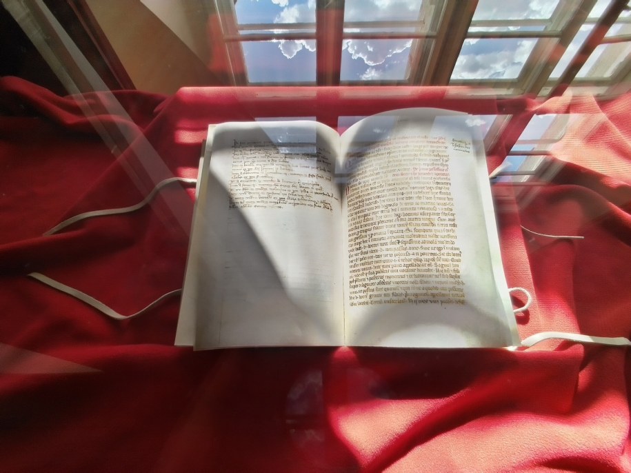 / Foto. Jarosław Żurawski /