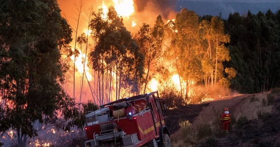​Około 3500 osób zostało do poniedziałkowego południa ewakuowanych z powodu dużego pożaru lasów w hiszpańskiej prowincji Huelva, w regionie Andaluzji. Ogień strawił już ponad 16 tys. hektarów terenów leśnych.