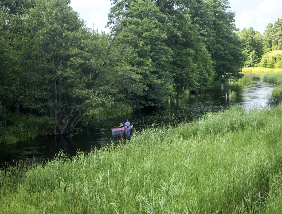 Wyjątkowo udane pod względem turystycznym były tegoroczne wakacje na Podlasiu. Właściciele tamtejszych pensjonatów i gospodarstw agroturystycznych przyznają, że odwiedziło ich zdecydowanie więcej gości niż w poprzednich latach. Tłumaczą to między innymi tym, że Podlasie jest jednym z regionów, gdzie w Polsce odnotowano najmniej przypadków koronawirusa.