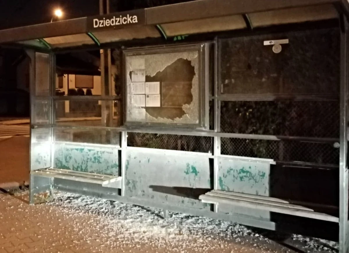 Policja zatrzymała dwóch młodych mężczyzn w związku ze sprawą licznych zniszczeń na Starołęce i Głuszynie w Poznaniu. Według śledczych, poznaniacy, jeżdżąc po mieście bmw i strzelając z pistoletu pneumatycznego, zniszczyli wiaty przystankowe, witryny i samochód.