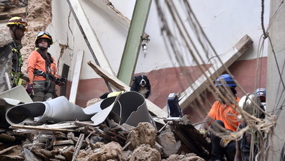 W pobliżu portu w Bejrucie znaleziono kolejne 4 tony substancji wybuchowej